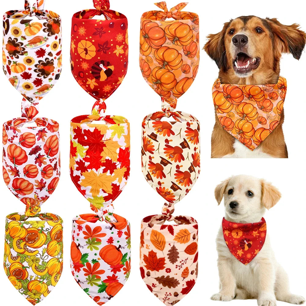 Dog Bandana Set