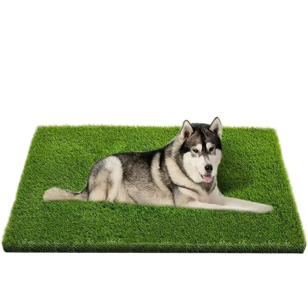 Dog Potty Turf